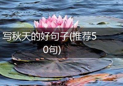 写秋天的好句子(推荐50句)