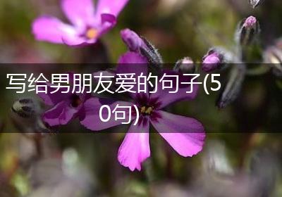 写给男朋友爱的句子(50句)