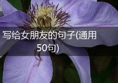 写给女朋友的句子(通用50句)