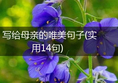 写给母亲的唯美句子(实用14句)