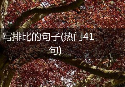 写排比的句子(热门41句)