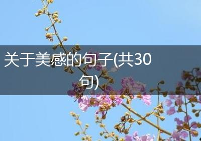 关于美感的句子(共30句)