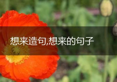 想来造句,想来的句子