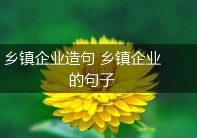 乡镇企业造句 乡镇企业的句子