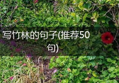 写竹林的句子(推荐50句)