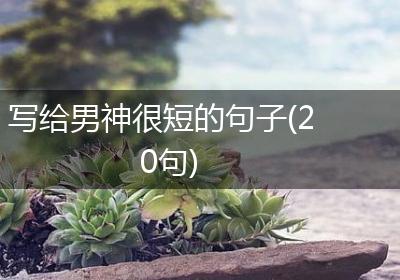 写给男神很短的句子(20句)