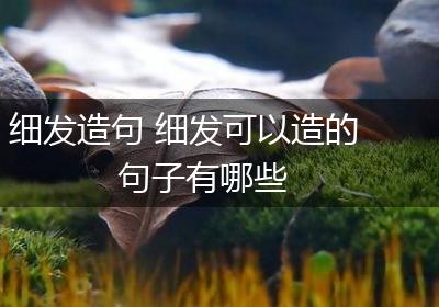 细发造句 细发可以造的句子有哪些