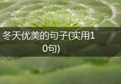 冬天优美的句子(实用10句)