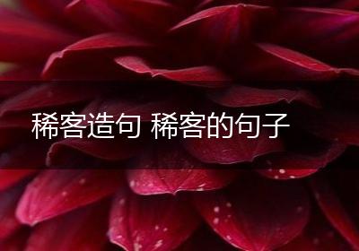 稀客造句 稀客的句子