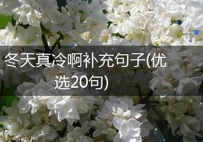 冬天真冷啊补充句子(优选20句)