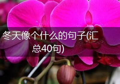 冬天像个什么的句子(汇总40句)