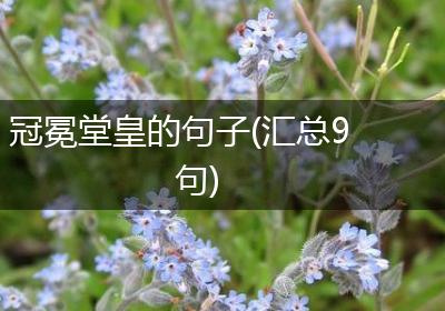 冠冕堂皇的句子(汇总9句)