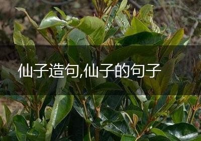 仙子造句,仙子的句子