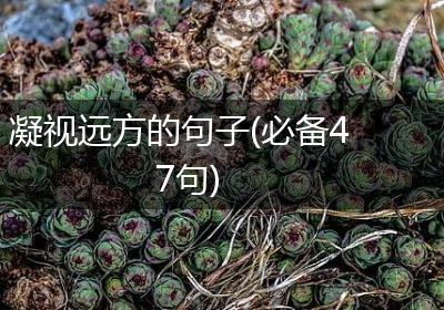 凝视远方的句子(必备47句)