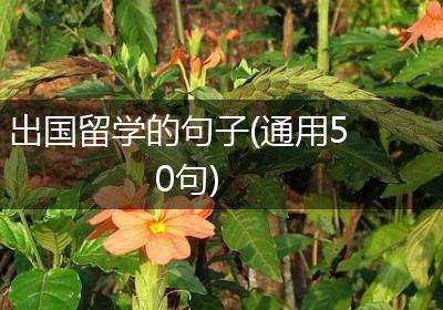 出国留学的句子(通用50句)