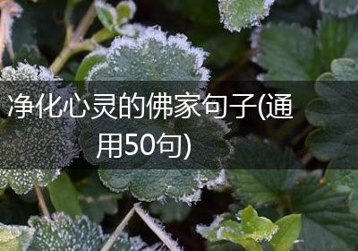 净化心灵的佛家句子(通用50句)