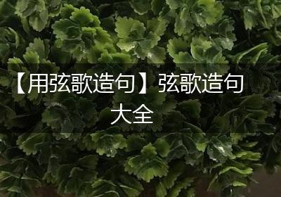【用弦歌造句】弦歌造句大全