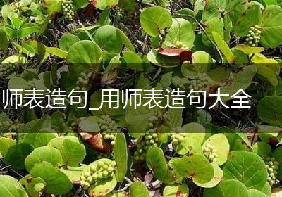 师表造句_用师表造句大全