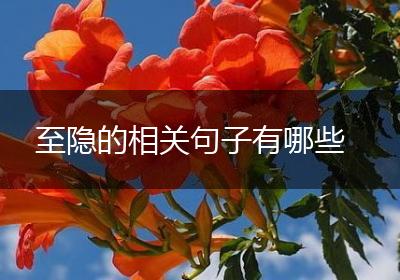 至隐的相关句子有哪些