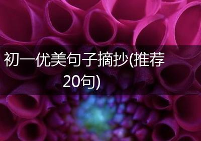 初一优美句子摘抄(推荐20句)