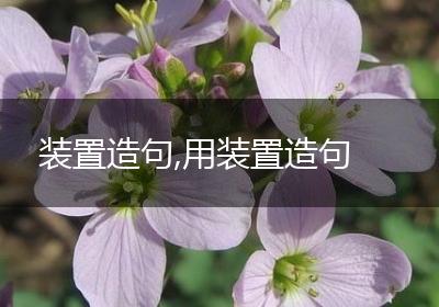 装置造句,用装置造句