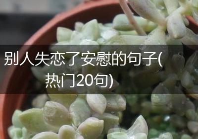 别人失恋了安慰的句子(热门20句)