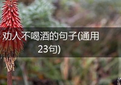 劝人不喝酒的句子(通用23句)