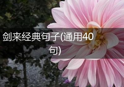 剑来经典句子(通用40句)