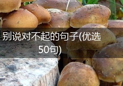 别说对不起的句子(优选50句)