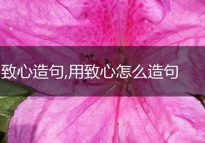 致心造句,用致心怎么造句