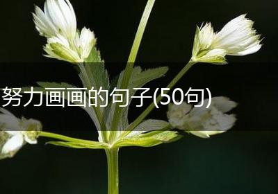 努力画画的句子(50句)