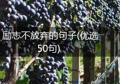 励志不放弃的句子(优选50句)