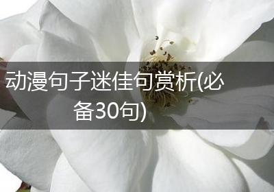 动漫句子迷佳句赏析(必备30句)