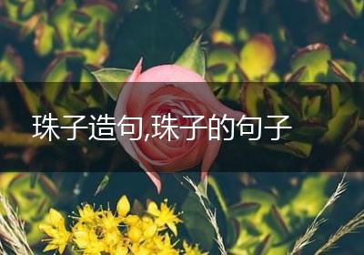 珠子造句,珠子的句子