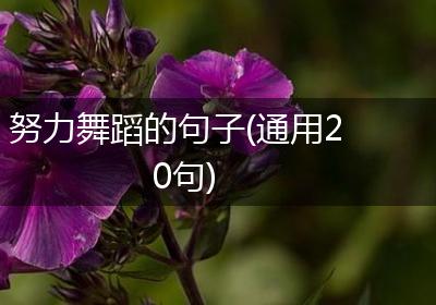 努力舞蹈的句子(通用20句)