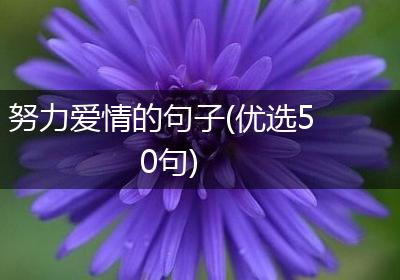 努力爱情的句子(优选50句)