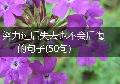 努力过后失去也不会后悔的句子(50句)