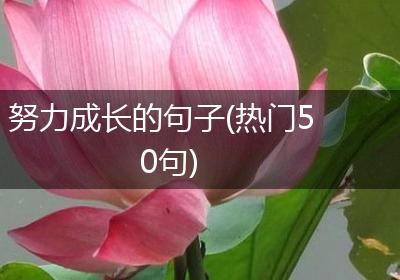 努力成长的句子(热门50句)