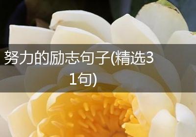 努力的励志句子(精选31句)