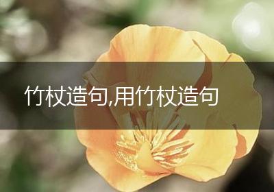 竹杖造句,用竹杖造句