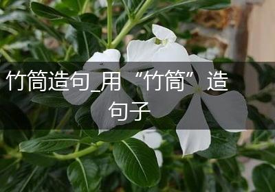 竹筒造句_用“竹筒”造句子