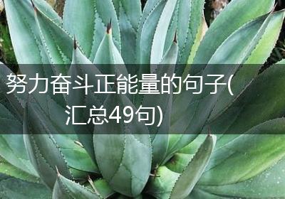努力奋斗正能量的句子(汇总49句)