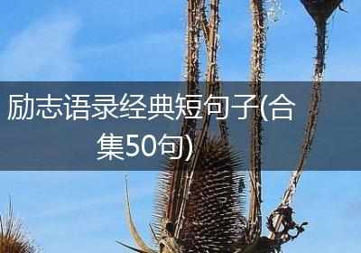 励志语录经典短句子(合集50句)