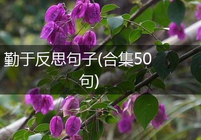 勤于反思句子(合集50句)