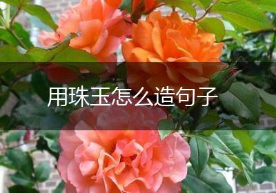 用珠玉怎么造句子