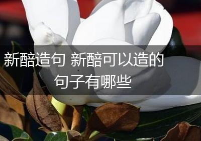 新醅造句 新醅可以造的句子有哪些