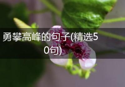 勇攀高峰的句子(精选50句)