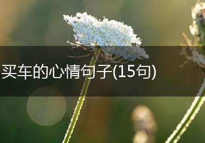 买车的心情句子(15句)