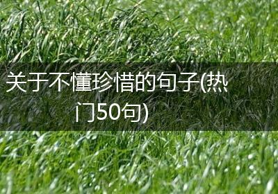 关于不懂珍惜的句子(热门50句)