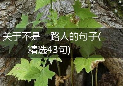 关于不是一路人的句子(精选43句)
